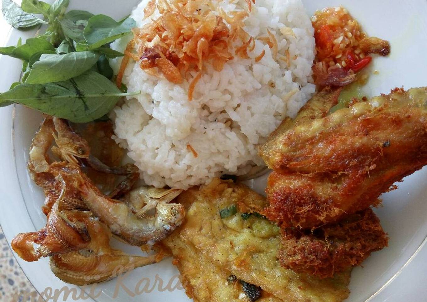 Nasi Levitt (penanak nasi)