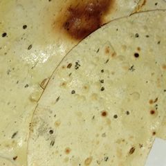 A picture of Roasted papad.