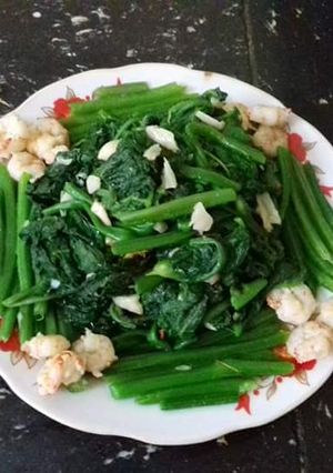 Hình của món Ngọn bí xào tỏi+tôm nõn.