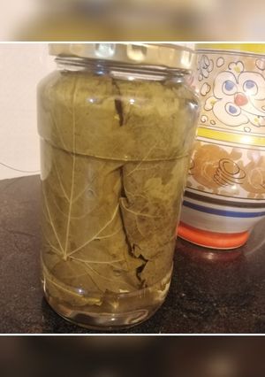 عکسی از دستور نگهداری برگ مو☘️🍇