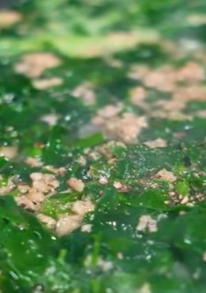 Hình của món Canh rau dền + mùng tơi.