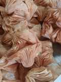 Mis pastelitos