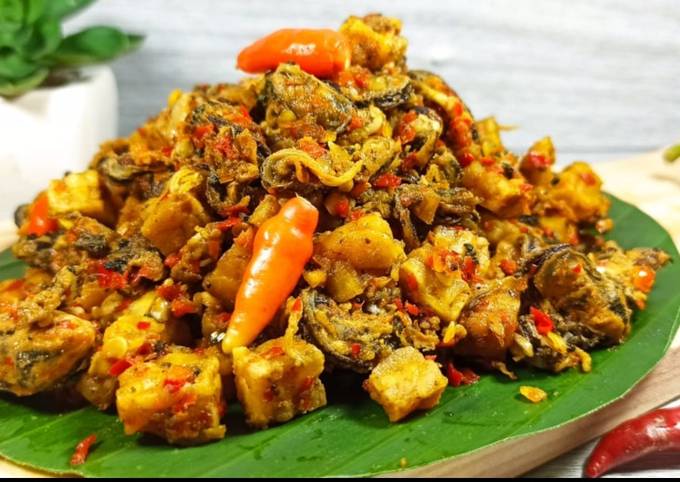 Kerang hijau tempe pedas