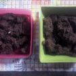 Rendang daging sapi rasa nendang