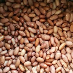 Full protein beans A picture of Full protein beans.