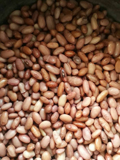 A picture of Full protein beans.