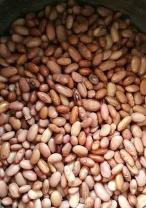 A picture of Full protein beans.