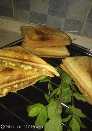 Special sandwich ainihin hoton girkin