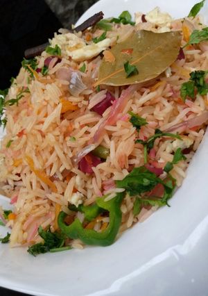 A picture of Arabian fried rice.