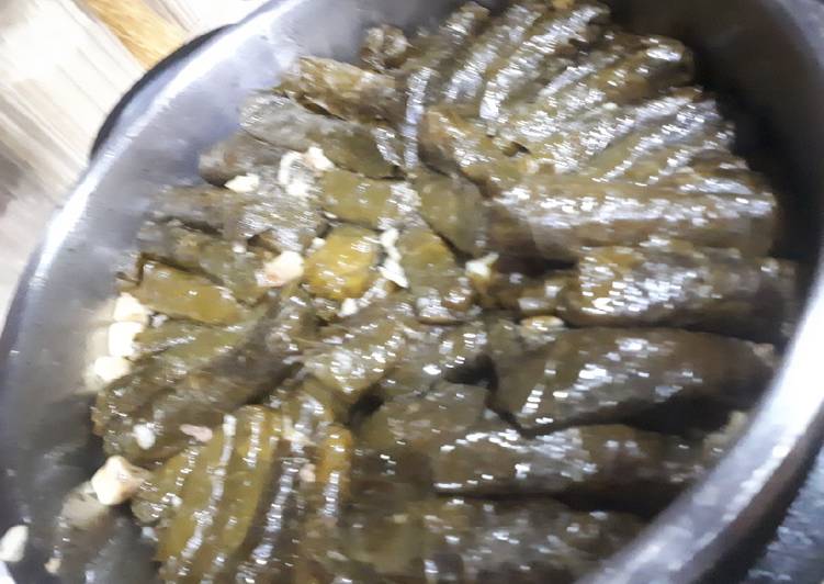 ورق عنب مع محشي الكوسا والبيتنجان رررررررروعه اشهى الاكلات