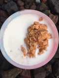 Honey Peanut Oat Yummy
