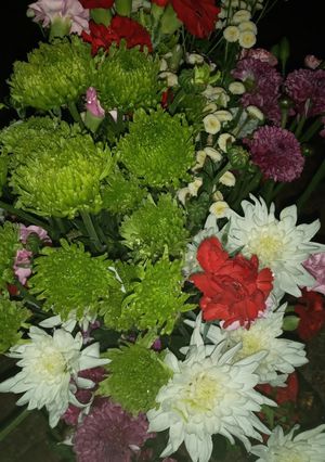 عکسی از دستور نخود پلو با باقی مانده ی خورشت نخود فرنگی