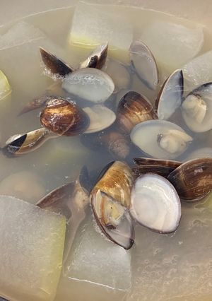 冬瓜蛤蠣湯 的食譜成品照片