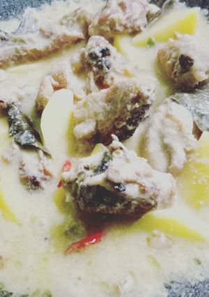 Foto resep Ayam Masak Putih