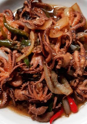 Foto resep Baby octopus/bayi gurita tumis (pedas)