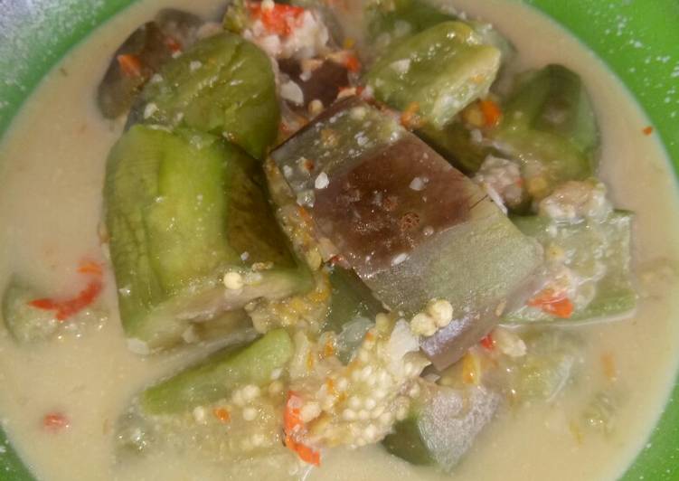 LODEH TERONG HIJAU+UNGU huhah&hellip;😋😋😋