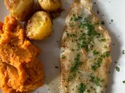 A picture of sole fish