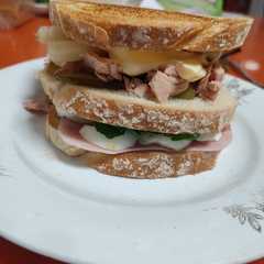A picture of Sándwich vegetal.