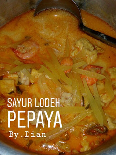 Foto resep Sayur lodeh pepaya ++(plus tahu,tempe dan udang)