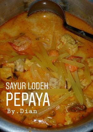 Foto resep Sayur lodeh pepaya ++(plus tahu,tempe dan udang)