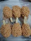 Kaki Naga dengan Crispy Bubble Crumbs