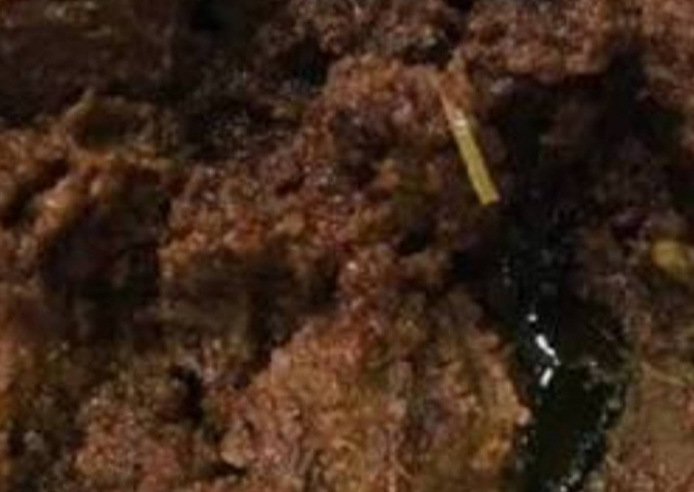 Rendang Daging