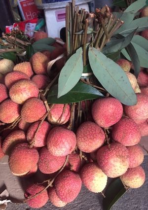 Hình của món Vải lai Thanh Hà.