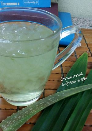 รูปของ น้ำว่านหางจระเข้ โดย:ทำครัวง่ายๆbyจุไรรัตน์