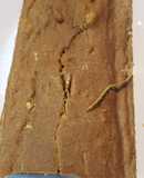 Budín de zanahoria con harina integral triturado con chocolate