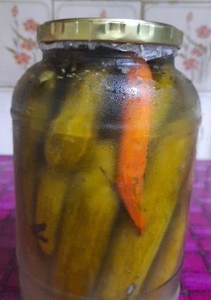 عکسی از دستور خیار شور خونگی