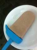Coconut Milk Cocoa Ice Cream
