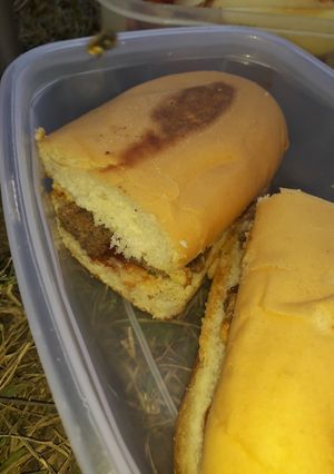 A picture of Chicken seekh kabab burger.