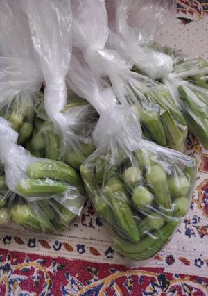 عکسی از دستور نگه داری بامیه