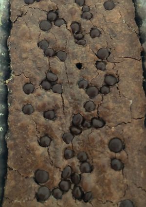 Foto resep Brownies gluten free cokelat milo
