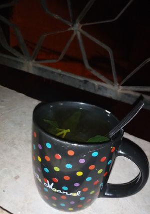 صورة لوصفة شراب النعناع