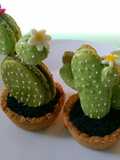 Cactus macarons