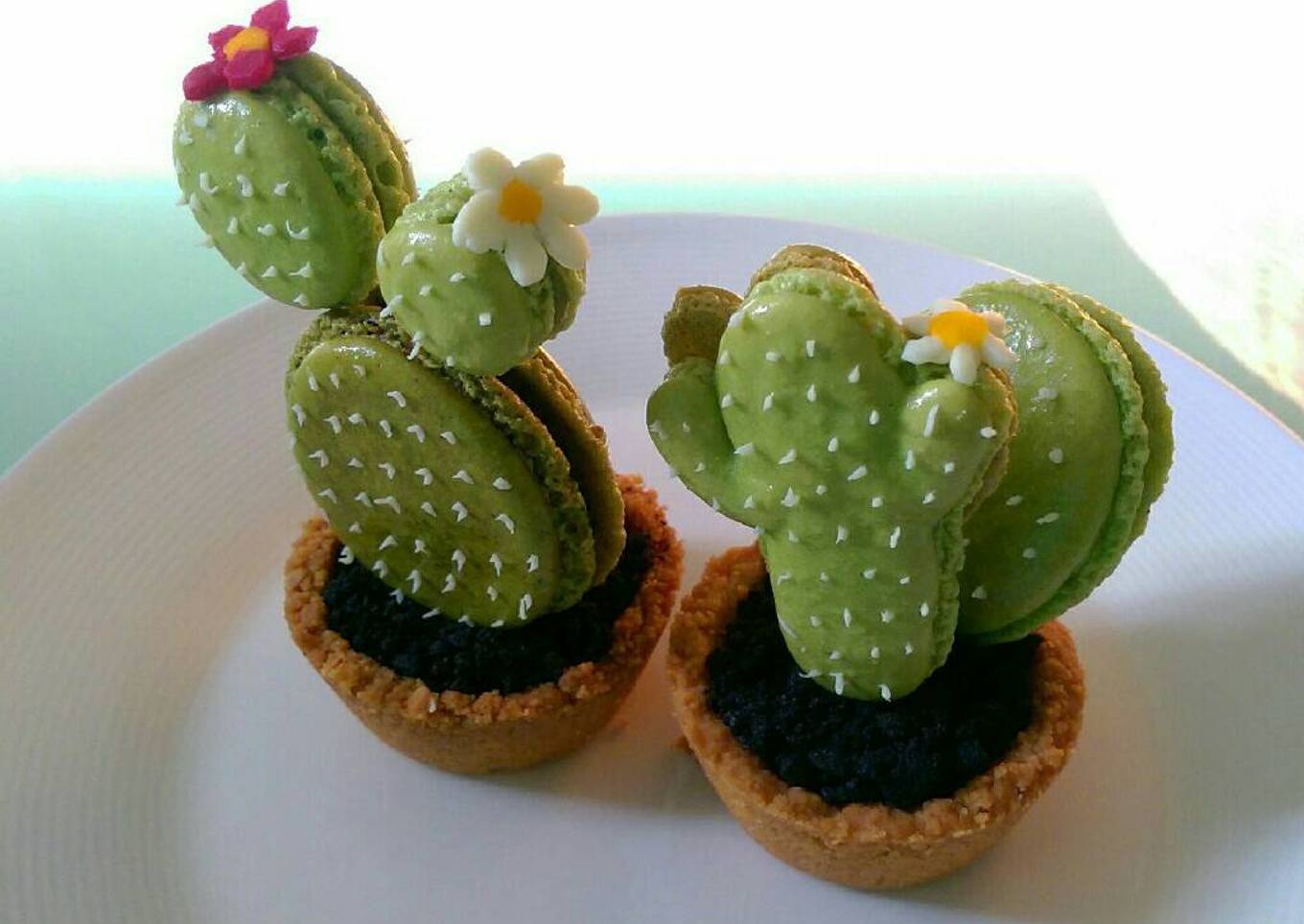 Recipe of Perfect Cactus macarons