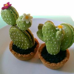 A picture of Cactus macarons.