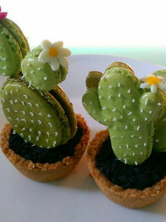 A picture of Cactus macarons.