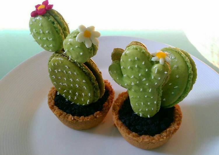 Cactus macarons