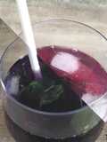 Mojito caméléon