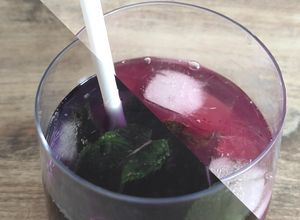 Une photo de Mojito caméléon