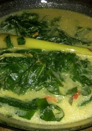 Foto resep Sayur Daun Singkong Kuah Santan