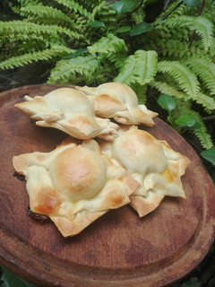 Una foto de Pastelitos argentinos al horno! Bien criollo😊♥