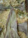 Pastel de choclo en chala