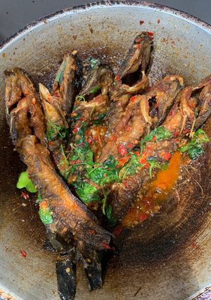 Foto resep Lele balado kemangi