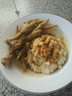 A picture of Samp and chicken feet.