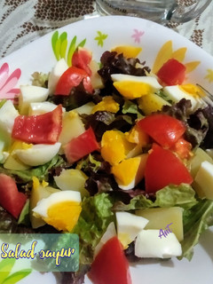 Foto resep Salad sayur dressing olive oil+lemon