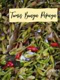 Tumis Bunga Pepaya