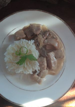 Una foto de Estroganoff con arroz